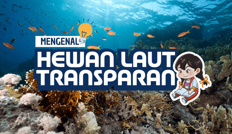 Mengenal Hewan Laut Transparan