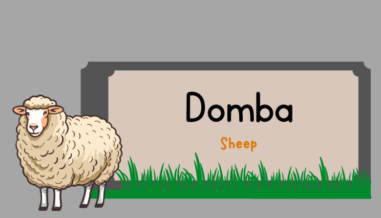 2.	Domba