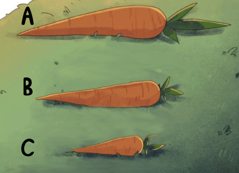 Manakah yang paling panjang?