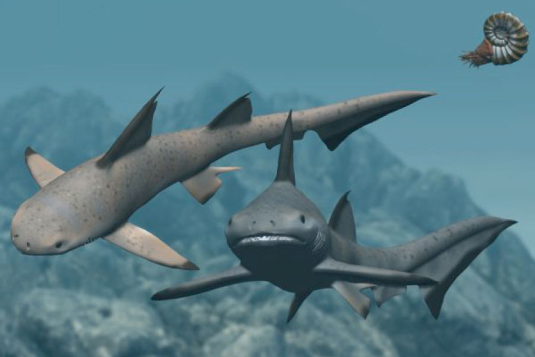 5. Ikan Besar Mesozoik