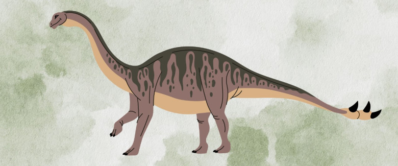 Sauropoda