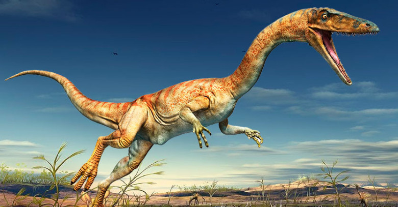 Coelophysis