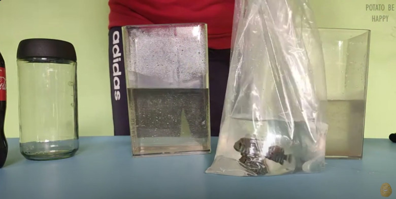 2. Siapkan ikan air tawar yang akan digunakan untuk bahan eksperimen.