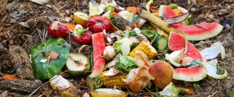 Manakah tempat sampah untuk sisa makanan?