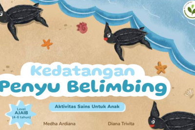 Kedatangan Penyu Belimbing