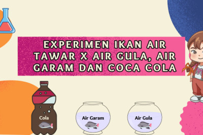 EKSPERIMEN IKAN AIR TAWAR DIMASUKAN KEDALAM AIR GARAM, AIR GULA DAN COCA COLA