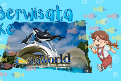 Melihat Hewan Laut Dari Dekat di Sea World Ancol