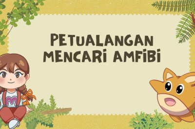 PETUALANGAN MENCARI AMFIBI